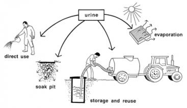  Alternative ways of handling/using urine diverted from toilets. Source: ESREY et al. (1998)